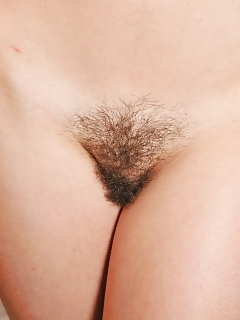 Felix Hairy Pussy Appreciation Society