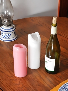 Artemisia Hairy Dutch Women