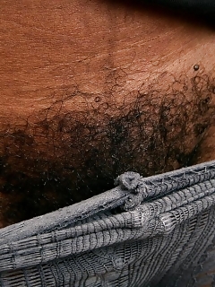 Alexis Hairy Pussy Cutie