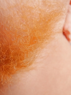 Big Tits Porn Pictures